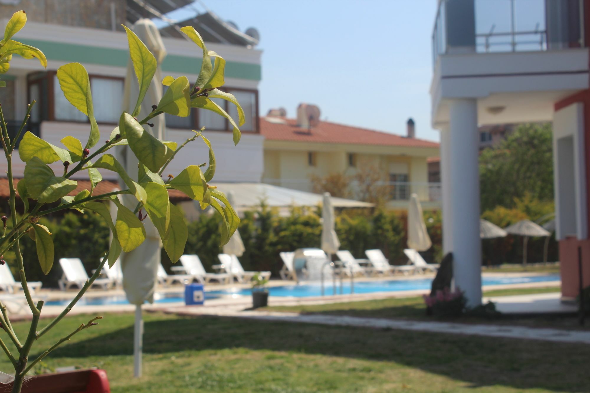 Cilek Butik Hotel Кешме Экстерьер фото